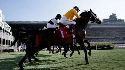 Sin razón aparente, el caballo se cayó en plena carrera, provocándole severas lesiones al jinete