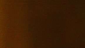 La Arrolladora Banda El Limón.