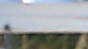 Maluma y Prince Royce pasan tiempo juntos en Miami, Florida / Grosby Group