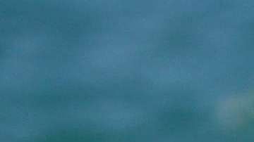 Maluma y Prince Royce pasan tiempo juntos en Miami, Florida.