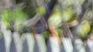 Nick Jonas auxilió a una joven con la que después disfrutó de un romántico día...