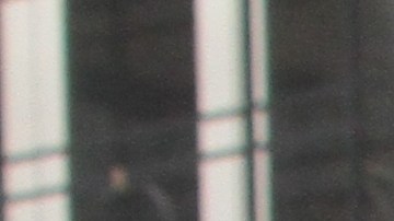 El hombre fue atropellado accidentalmente dos veces por una compañera de trabajo