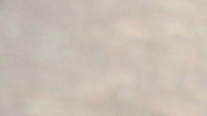 MTA investiga el caso