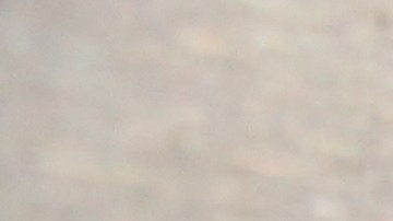 MTA investiga el caso