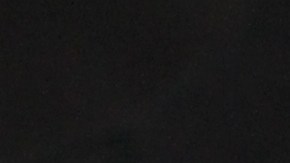 Stephanie Burgos-Veras de Riders Alliance protesta por mejor servicio de buses.