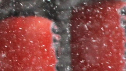 Los neoyorquinos están lidiando con nieve en el primer día oficial de primavera