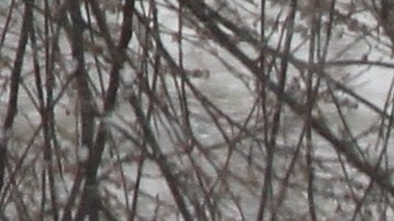 En la cuarta tormenta de nieve, los nuyorquinos estan aprendiendo a lidiar con el clima en el primer dia de primavera.