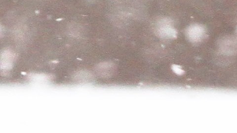 En la cuarta tormenta de nieve, los nuyorquinos estan aprendiendo a lidiar con el clima en el primer dia de primavera.