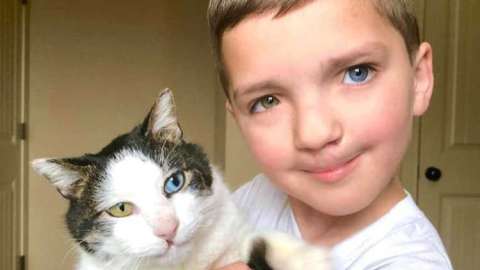 Este niño ha encontrado a su mascota perfecta y por eso la madre no dudó en realizar un largo viaje para adoptarla.
