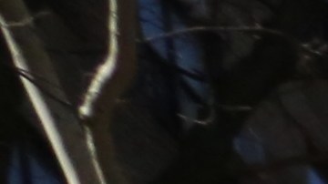 Luz Concepcion. Inquilinos de NYCHA en Chelsea se quejan de la inseguridad y la falta de limpieza.