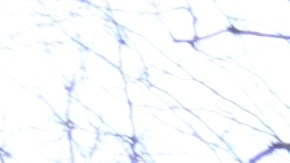 Los vales de la Sección 8 ayudarán a los neoyorquinos elegibles a obtener subsidios de alquiler para el mercado privado. /Archivo