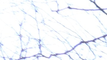 Los vales de la Sección 8 ayudarán a los neoyorquinos elegibles a obtener subsidios de alquiler para el mercado privado. /Archivo