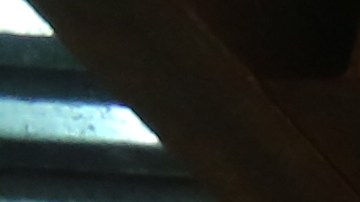 El acceso de las empresas conformadas por hispanos, a ciertos contratos otorgados por la Ciudad, no pasa del 1%