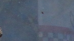 El crimen se cometió en Chelsea en 1993