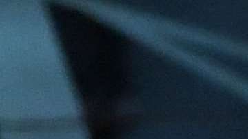 El error que le costó el gane a "La La Land".