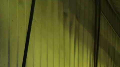 La nueva norma contempla beneficiar entre otros, a los carwasheros.