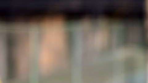 El delantero colombiano Darwin Quintero jugará con el Minnesota United de la MLS