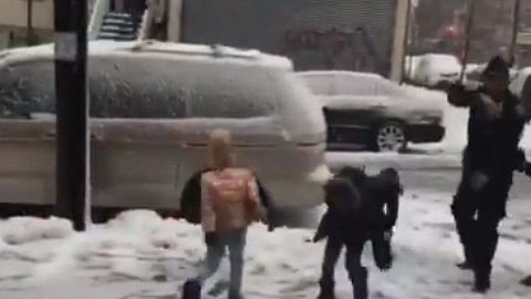 pelea-nieve