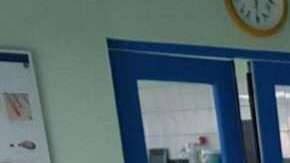 Este pobre perrito tenía una enfermedad en la piel y, además, un gusano en el corazón.