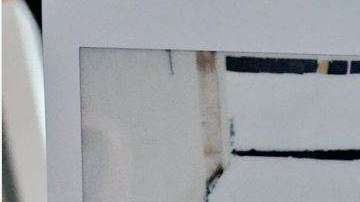 El animal se camuflajea entre la nieve.