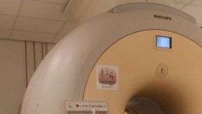 Para el estudio utilizaron 13 perros entrenados para quedarse 7 minutos quietos durante el escaneo de sus cerebros.