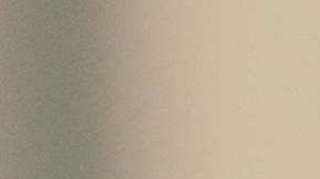 Los perros enfermos deben mantenerse hidratados