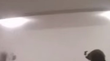 Según reportes, algunas de las armas que se encontraron en la detención de Joaquín "El Chapo" Guzmán eran del "Rápido y furioso".