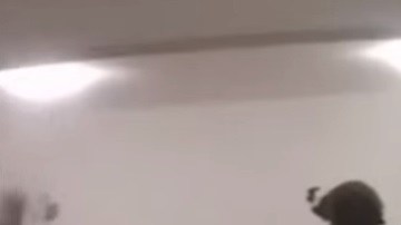 Según reportes, algunas de las armas que se encontraron en la detención de Joaquín "El Chapo" Guzmán eran del "Rápido y furioso".