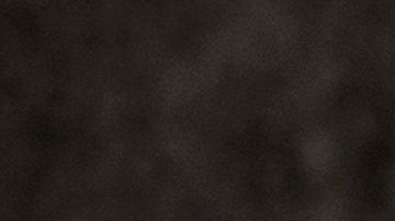 Mejorar el manejo de basura ayudaría a reducir la población de ratas.