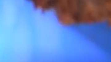 Los concursantes de "Reto 4 Elementos" tuvieron que pasarse cucarachas con la boca