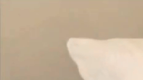 Sin seguro médico y sin ingresos, Reyes no sabe cómo va a mantener a su familia ahora. (Se ha establecido una cuenta GoFundMe para ayudarlo.)