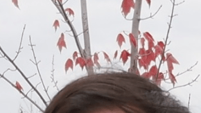 Un amigo lo deja todo para acompañar a su mejor amigo en los últimmentos de vida