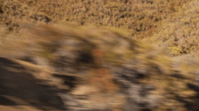 El Corolla se mantiene en las mejores listas.