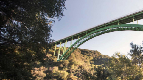 Los híbridos plug in resultan los más económicos.