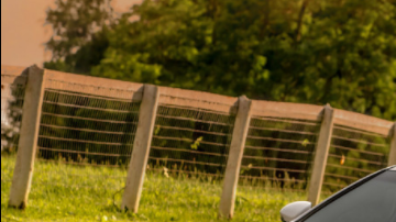 De todos tamaños, tal como las familias.