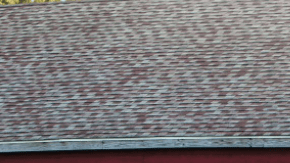 El poder de estas trucks es indiscutible.