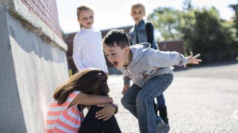 El hostigamiento requiere una cierta dinámica grupal, que se empieza a observar a partir del tercer grado escolar.
