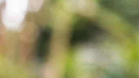Escasez de agua