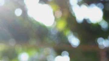 Si estás pensando en comprar una casa, este es el mejor momento.