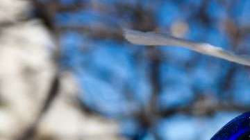 Desde hace miles de años el "mal de ojo" y los amuletos para ahuyentarlo están presente en el imaginario humano.