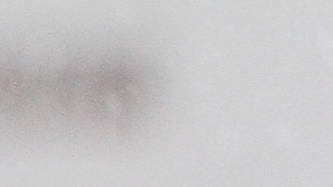 Nieve y viento azotan la Gran Manzana. La tormenta de nieve  llegara en la tarde pronostican los servicios meteorologico.