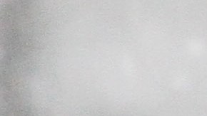 Nieve y viento azotan la Gran Manzana. La tormenta de nieve  llegara en la tarde pronostican los servicios meteorologico.