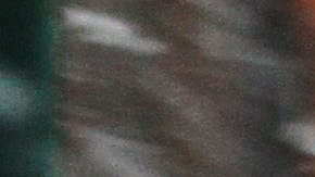 Nieve y viento azotan la Gran Manzana. La tormenta de nieve  llegara en la tarde pronostican los servicios meteorologico.