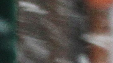 Nieve y viento azotan la Gran Manzana. La tormenta de nieve  llegara en la tarde pronostican los servicios meteorologico.