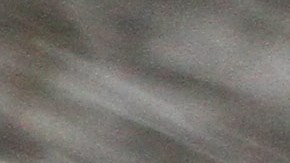 Nieve y viento azotan la Gran Manzana. La tormenta de nieve  llegara en la tarde pronostican los servicios meteorologico.