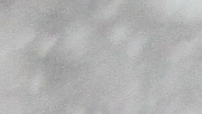 Nieve y viento azotan la Gran Manzana. La tormenta de nieve  llegara en la tarde pronostican los servicios meteorologico.