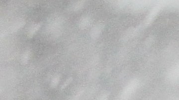 Nieve y viento azotan la Gran Manzana. La tormenta de nieve  llegara en la tarde pronostican los servicios meteorologico.