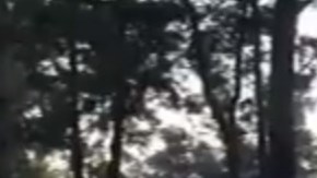 La Policía de la CDMX no ha dado detalles del caso.