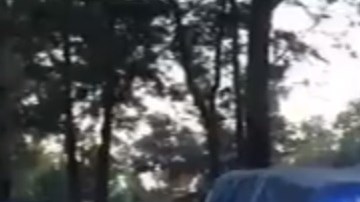 La Policía de la CDMX no ha dado detalles del caso.