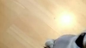 El perro de Mark Meechan realiza el saludo Nazi en una captura del vídeo publicado en Youtube.